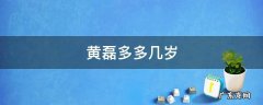 黄磊好多岁 黄磊多多几岁