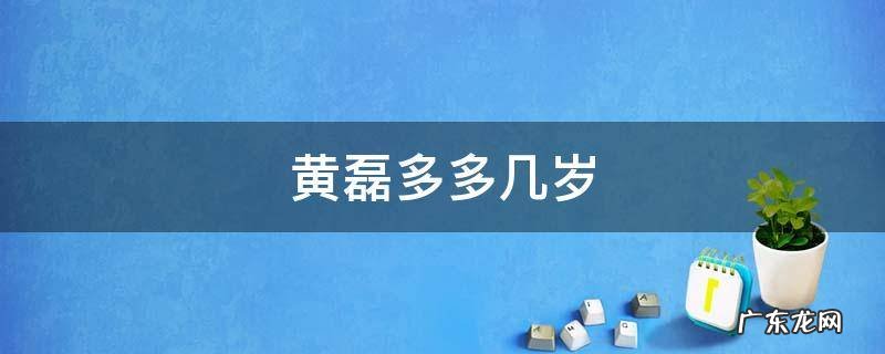 黄磊好多岁 黄磊多多几岁