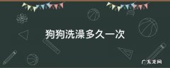 狗狗洗澡多久一次 狗狗洗澡一般多久一次