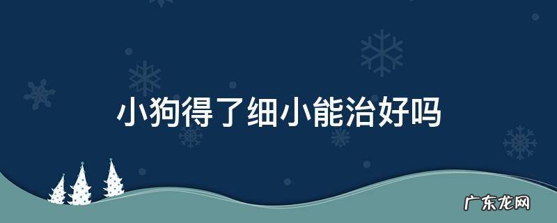 小狗得了细小能治好吗 小狗得了细小能治好吗?