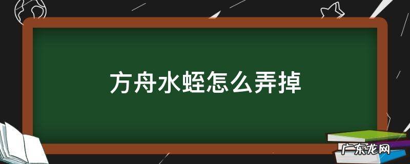 方舟怎么把水蛭弄掉 方舟水蛭怎么弄掉