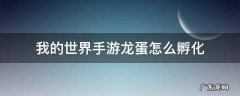 我的世界手游龙蛋怎么孵化 龙蛋孵化方法 我的世界手游龙蛋怎么孵化