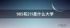 985和211大学名单 985和211是什么大学