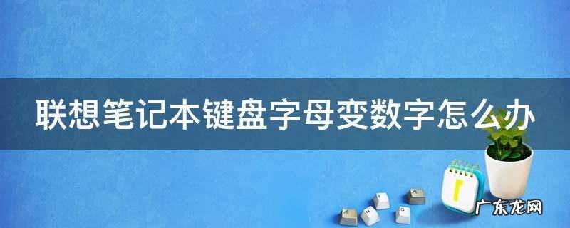 联想笔记本键盘字母变数字怎么办 联想笔记本键盘字母变数字怎么办啊