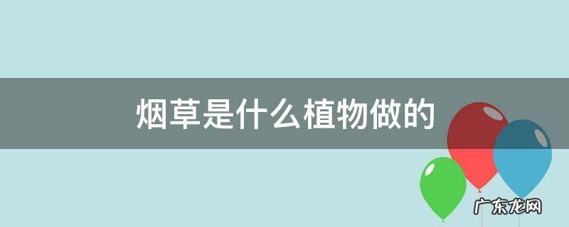 烟草是什么植物做的 烟是用什么植物做的