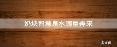 奶块智慧泉水坐标图片 奶块智慧泉水哪里弄来
