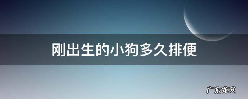 刚出生的小狗多久排便 刚出生的小狗多久拉粑粑