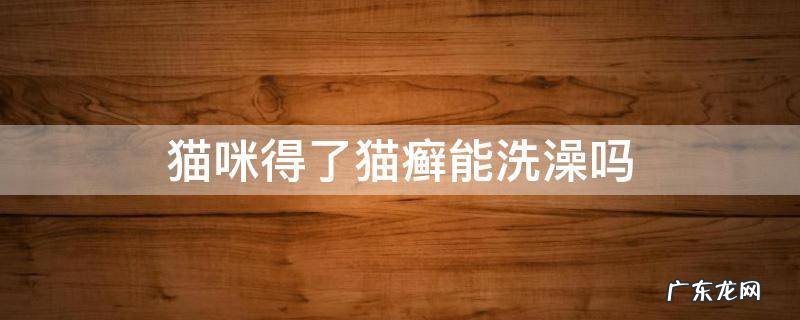 猫咪得了猫癣能洗澡吗 猫咪得了猫癣可以洗澡吗?