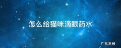 怎么给猫咪滴眼药水 给猫咪滴的眼药水