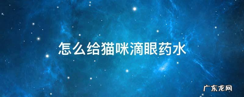 怎么给猫咪滴眼药水 给猫咪滴的眼药水