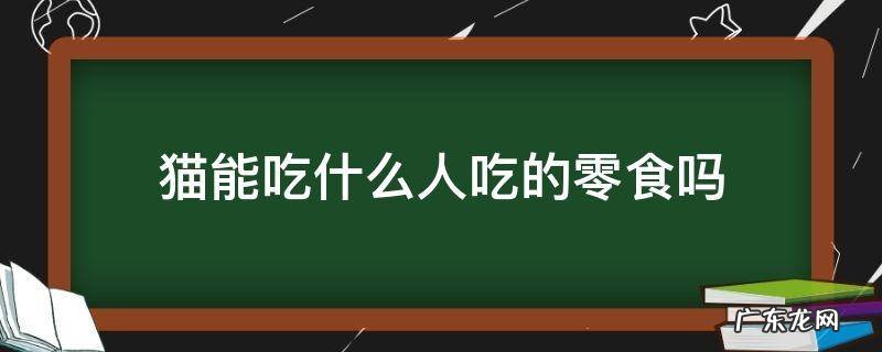 猫咪可以吃什么人的零食 猫能吃什么人吃的零食吗