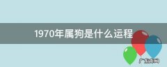1970年属狗人的命运及财运 1970年属狗是什么运程