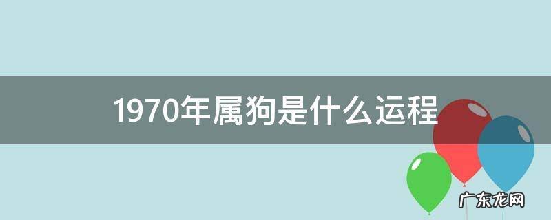 1970年属狗人的命运及财运 1970年属狗是什么运程