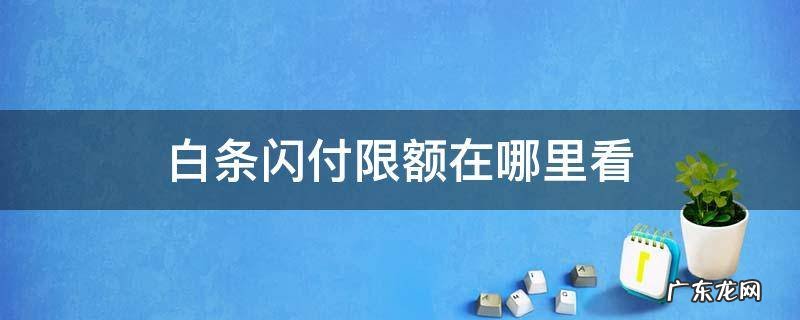 白条闪付每月限额在哪里看 白条闪付限额在哪里看