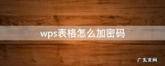 wps表格怎么加密码 wps表格如何加密码