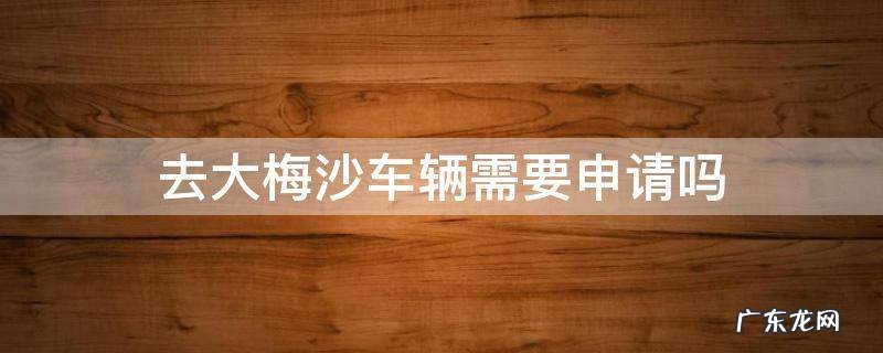 小汽车去大梅沙要预约吗 去大梅沙车辆需要申请吗