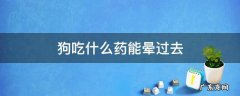 让狗吃什么药会晕 狗吃什么药能晕过去