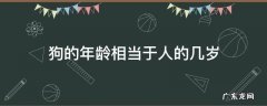 狗的年龄相当于人的几岁 狗狗年龄相当于人类多少岁