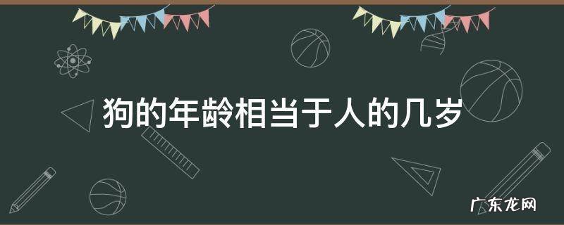 狗的年龄相当于人的几岁 狗狗年龄相当于人类多少岁