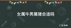 女属猪和男属牛 女属牛男属猪合适吗
