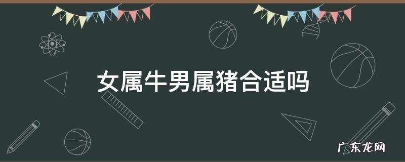 女属猪和男属牛 女属牛男属猪合适吗