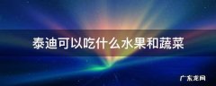 泰迪可以吃什么水果和蔬菜 泰迪狗可以吃哪些水果和蔬菜