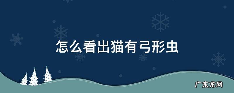 怎么看出猫有弓形虫 怎么看出猫有弓形虫身上寄生虫虫卵
