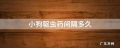 狗驱虫药最短间隔时间是多久 小狗驱虫药间隔多久