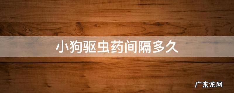 狗驱虫药最短间隔时间是多久 小狗驱虫药间隔多久
