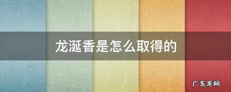 龙涎香是从哪里提取的 龙涎香是怎么取得的