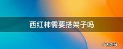 西红柿需要搭架子吗 西红柿用搭架吗