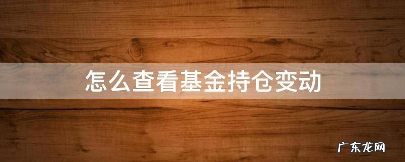 怎么查看基金持仓变动 怎么查看基金持仓变化