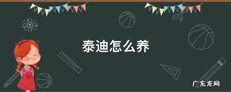 泰迪怎么养 刚出生的泰迪怎么养