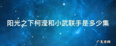阳光之下柯滢和小武联手是多少集 阳光之下柯滢和小武第几集联手
