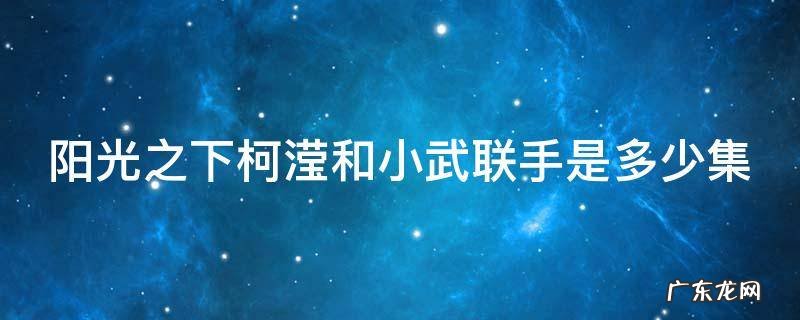 阳光之下柯滢和小武联手是多少集 阳光之下柯滢和小武第几集联手