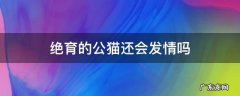 公猫绝育了还会发情么 绝育的公猫还会发情吗