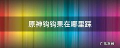 原神钩钩果在哪里踩 原神钩钩果具体位置