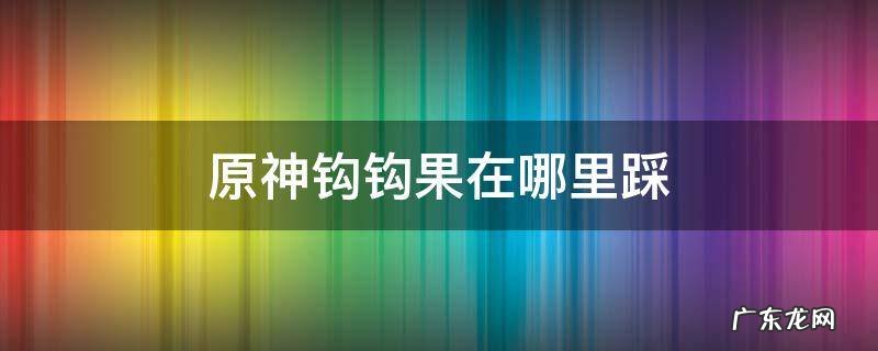 原神钩钩果在哪里踩 原神钩钩果具体位置