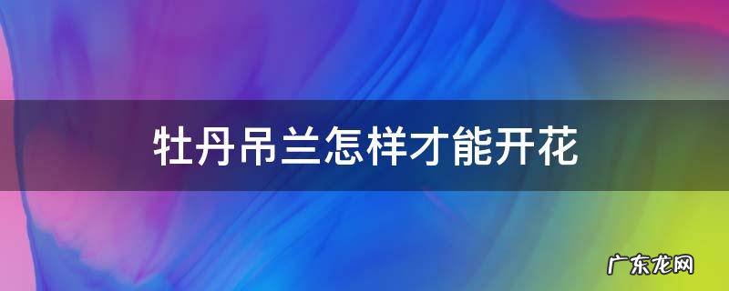 牡丹吊兰怎样才能开花 牡丹吊兰花怎么栽培