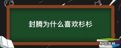 封腾为什么喜欢杉杉 封腾为什么喜欢杉杉很下饭