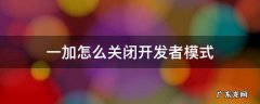 一加开发者模式有什么用怎么关闭 一加怎么关闭开发者模式