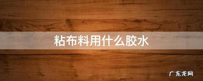 布料胶水 粘布料用什么胶水
