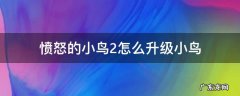 愤怒的小鸟2 小鸟升级 愤怒的小鸟2怎么升级小鸟