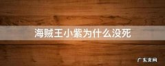 海贼王小紫不是被杀了 海贼王小紫为什么没死