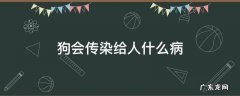 狗会传染给人什么病菌 狗会传染给人什么病
