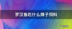 罗汉鱼吃什么牌子饲料 罗汉鱼吃什么牌子饲料起头增色