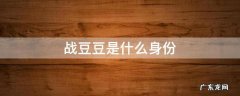 战豆豆孩子是谁的 战豆豆是什么身份