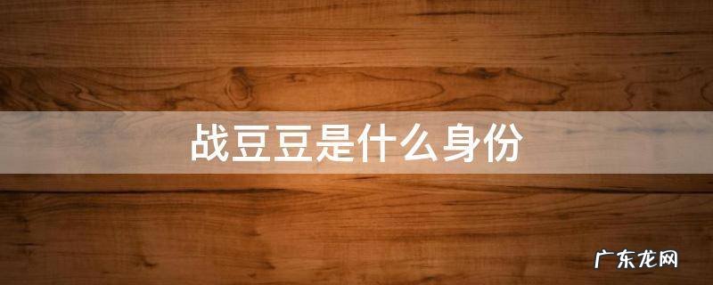 战豆豆孩子是谁的 战豆豆是什么身份