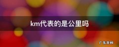 km指的是公里吗 km代表的是公里吗