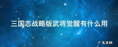 三国志战略版攻略武将觉醒有什么用 三国志战略版武将觉醒有什么用